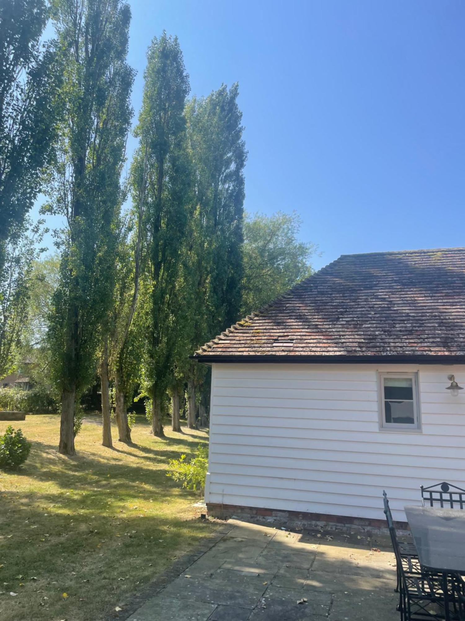 Cosy Country Cottage Bethersden Exterior photo